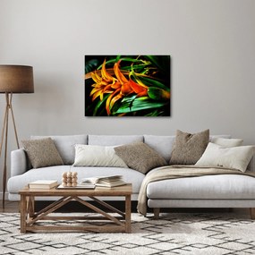 Obraz oranžovej kytice (70x50 cm)