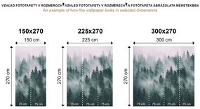Samolepiaca fototapeta zasnežené borovicové stromy - 150x100