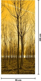 Fototapeta na dvere - Plantáž stromov (95x205cm)