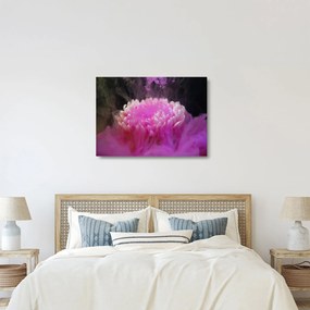 Sklenený obraz kvetiny v ružovom dyme (70x50 cm)