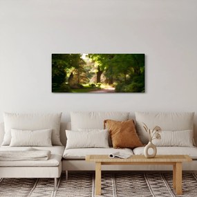 Obraz parku (120x50 cm)