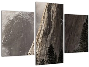 Obraz z údolia Yosemite národnej parku, USA (90x60 cm)