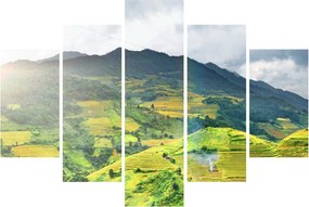 Obraz plantáže (150x105 cm)