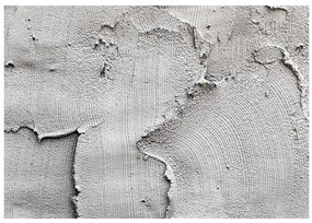 Artgeist Fototapeta - Concrete nothingness Veľkosť: 98x70, Verzia: Samolepiaca