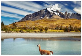 Obraz - Národný park Torres del Paine (90x60 cm)