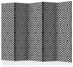 Artgeist Paraván - Black and White Hypnosis [Room Dividers]
