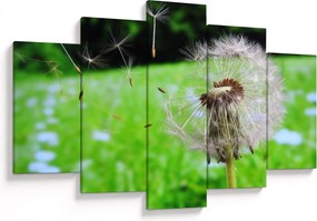 Obraz púpavy (150x105 cm)