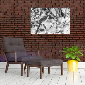 Obraz - Modrý vták v zime (90x60 cm)