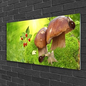 Obraz na skle Huby divoké jahody 125x50 cm