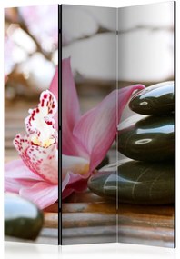 Artgeist Paraván - Hot Stones [Room Dividers]