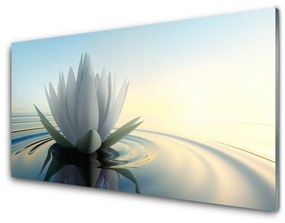 Skleneny obraz Vodné lilie rybník príroda 120x60 cm