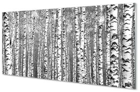Obraz plexi Čierna a biela strom 140x70 cm