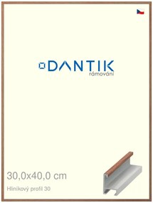DANTIK rám na obraz 30x40 | ALU Dýha ořech lak matný (Plexi Čiré)