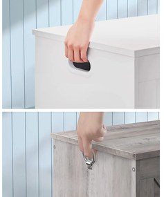 Vasagle Truhlica s úložným priestorom GRETA, 76x48x40cm, biela