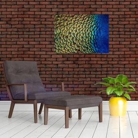 Sklenený obraz - Pávie perie (70x50 cm)