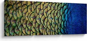 Obraz - Pávie perie (s hodinami) (90x30 cm)
