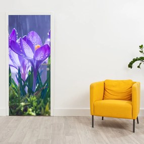 Fototapeta na dvere - Kvety v daždi (95x205cm)
