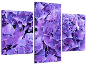 Obraz fialových kvetov (90x60 cm)