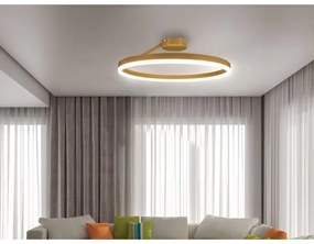 LED Stmievateľný prisadený luster LED/40W/230V 3000-6500K zlatá + diaľkové ovládanie