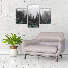 Obraz - Les s ilustrovanými prvkami (90x60 cm)