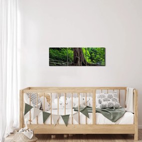 Obraz - Starý strom s koreňmi (s hodinami) (90x30 cm)