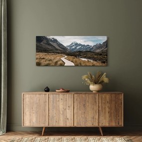 Obraz - Chodník v údolí hory Mt. Cook (120x50 cm)