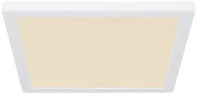 Globo 12380-24W - LED Stropné svietidlo LASSE LED/24W/230V 3000/4000/6500K biela