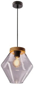 Luster na lanku BRELS 1xE27/40W/230V priehľadný