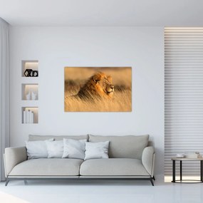 Obraz - Národný park Etosha (90x60 cm)