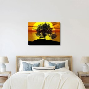 Obraz siluety stromu (70x50 cm)