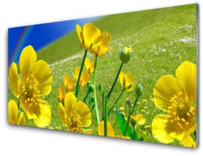 Nástenný panel  Lúka kvety dúha príroda 100x50 cm