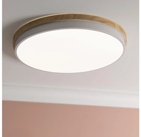 Brilliant - LED St. stropné svietidlo BAARLO LED/36W/230V pr. 50 cm biela + DO