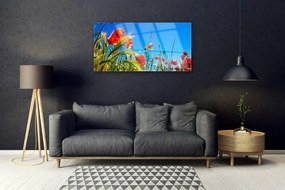 Obraz plexi Kvety maky pole trávy 100x50 cm