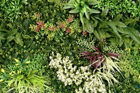 Umelý rastlinný panel RUBY 100 x 100 cm - Panel C 100x100 Europe Grass