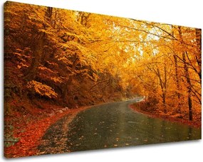 Obraz na stenu STROMY ST002E11