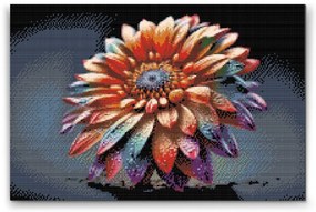 Gario Diamantové maľovanie Dúhový kvet Rozmery: 60 x 40 cm, Rámovanie: Iba zrolované plátno, Diamanty: Okrúhle