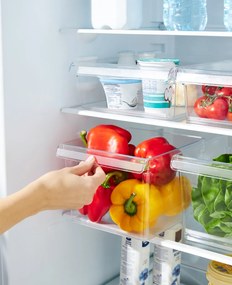 Organizér do chladničky (vstavaný) LOFT FRIDGE - 22x20x15 cm