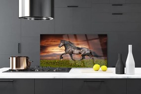 Nástenný panel  Čierny kôň lúka zvieratá 140x70 cm