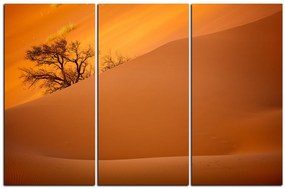 Obraz na plátne - Červené piesočné duny 1133B (90x60 cm  )