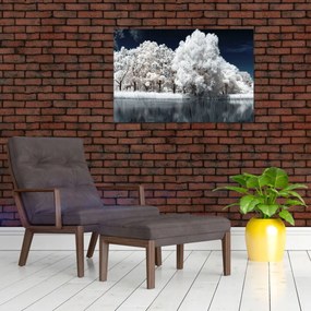 Obraz - Snehobiele stromy (90x60 cm)
