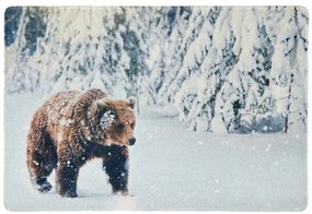 Vianočná rohožka WILD IN WHITE 38x58 cm - viac variantov Varianta: Veverička