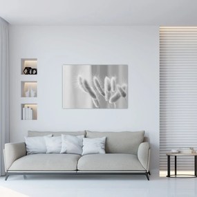 Obraz - Bunny tail grass (90x60 cm)