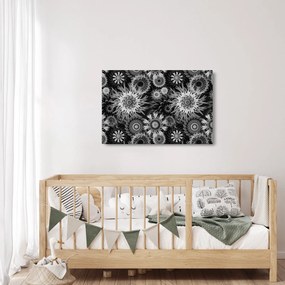 Obraz - Čiernobiele bodliaky (90x60 cm)