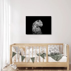 Sklenený obraz - Leopard (70x50 cm)