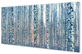 Nástenný panel  Brezového lesa pri západe slnka 100x50 cm
