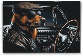 Gario Maľovanie podľa čísel Pes v čiernom kabriolete Rozmery: 60 x 80 cm, Rámovanie: S vnútorným rámom