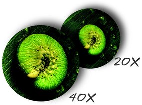 Navir - Explora - prenosný mikroskop s osvetlením