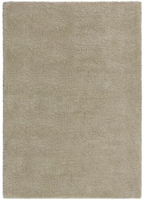 Flair Rugs koberce Kusový koberec Shaggy Teddy Natural - 120x170 cm