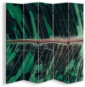 Gario Paraván Listová konštrukcia Rozmery: 180 x 170 cm, Prevedenie: Otočný paraván 360°
