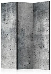Paraván - Fresh Concrete [Room Dividers] Veľkosť: 135x172, Verzia: Akustický